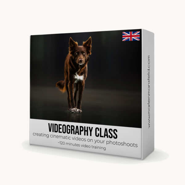 Videography Class – Creating cinematic videos on your photoshoots
