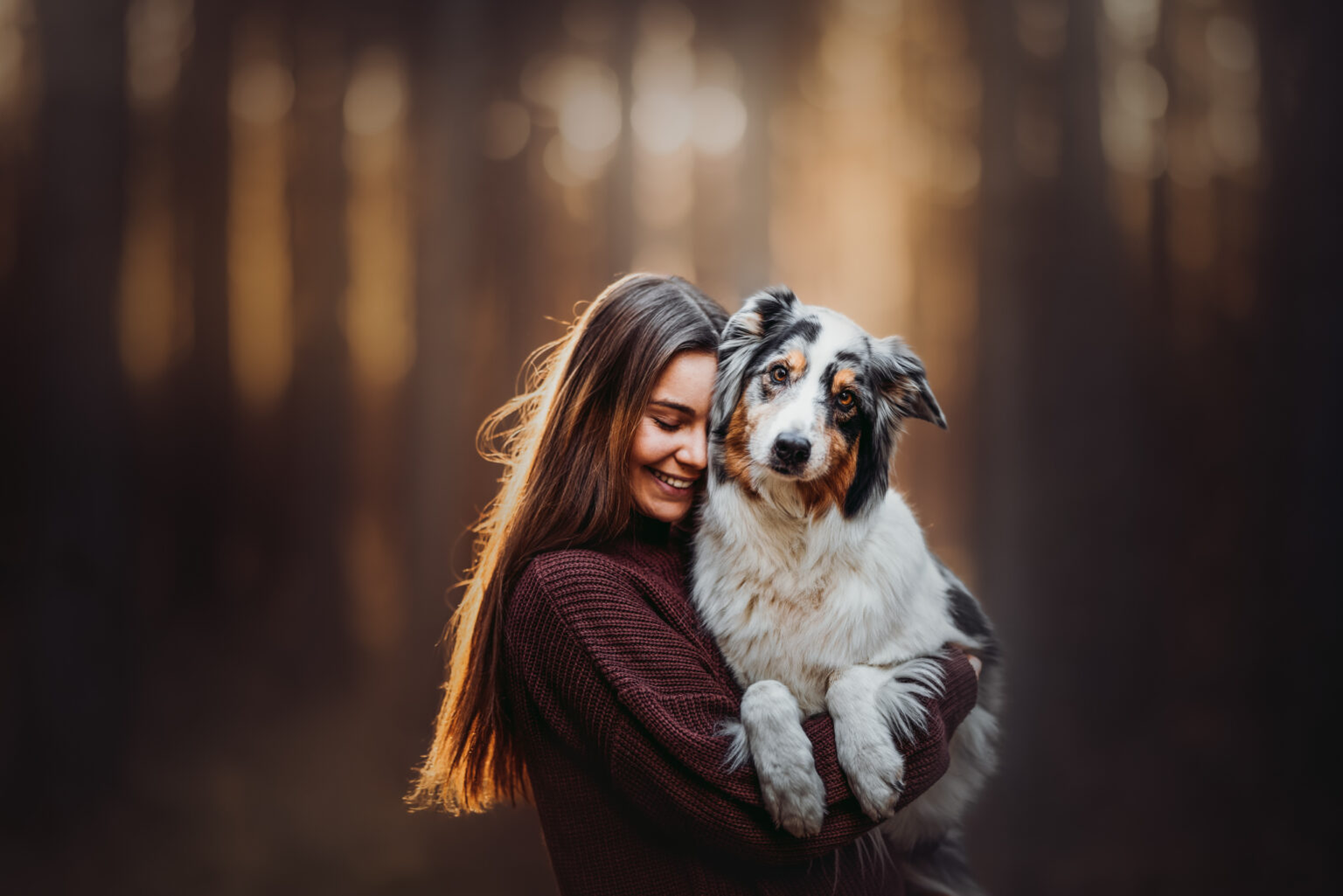 Portrait mit Australian Shepherd in Wien