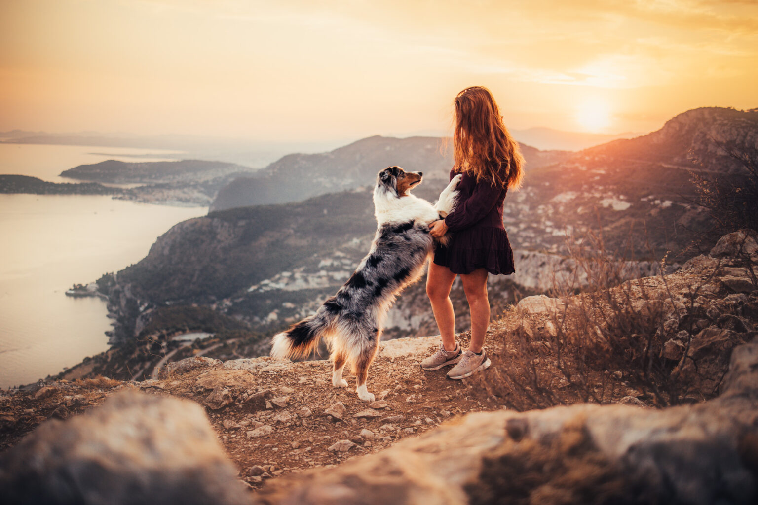Fotoshooting mit Aussie in Österreich