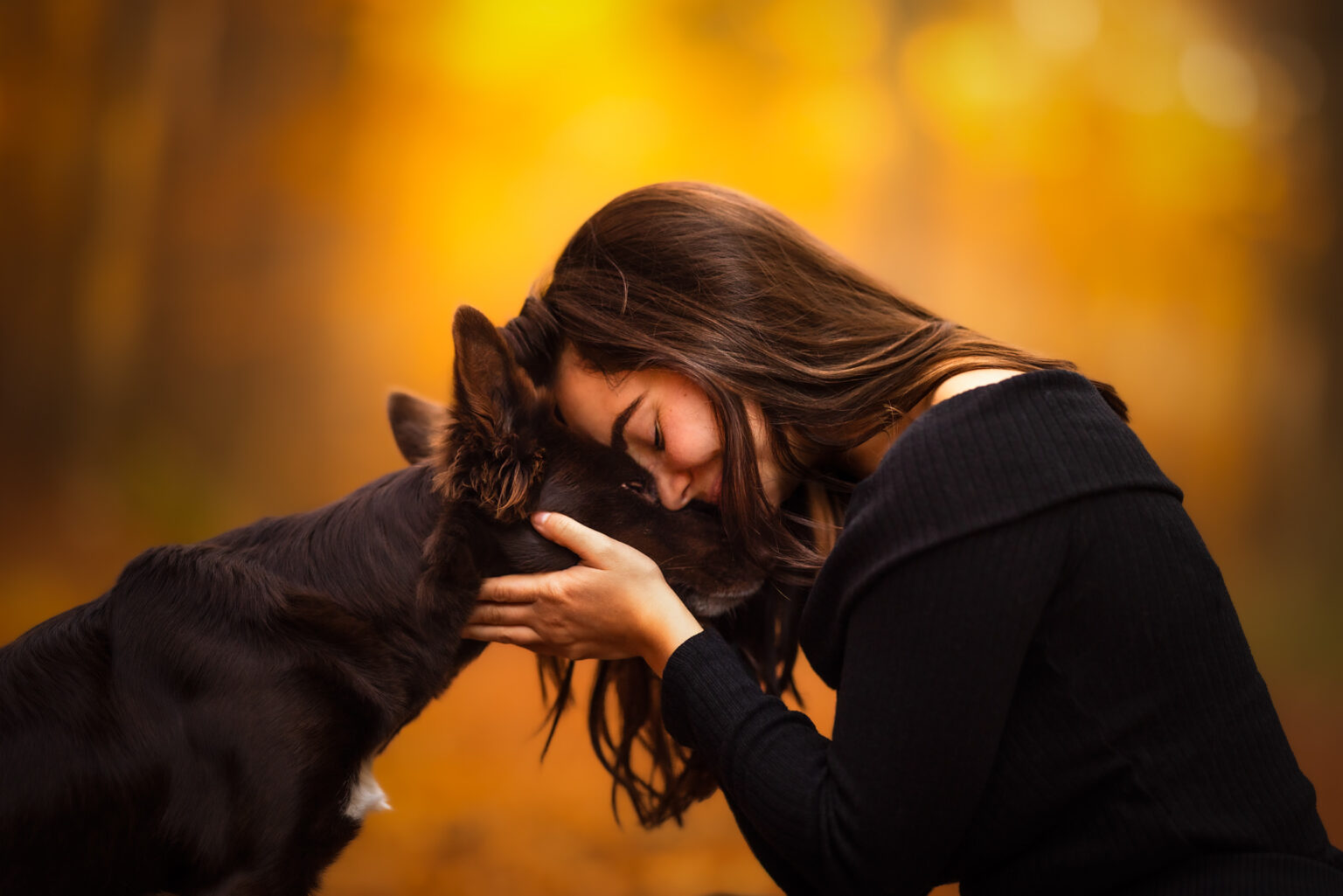 Emotionales Fotoshooting von Border Collie und Besitzerin