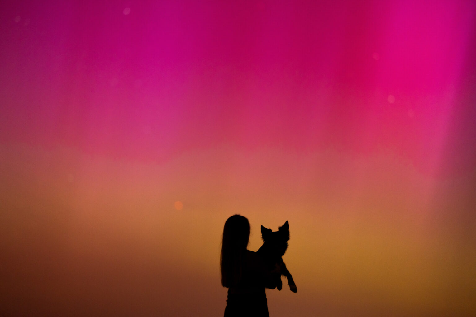 Fotoshooting Hund-Mensch bei Nordlichtern